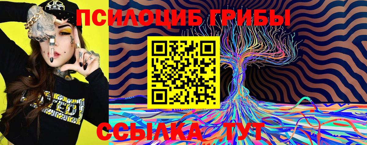 Черногорск  Псилоцибиновые грибы мицелий  Вход с VPN 