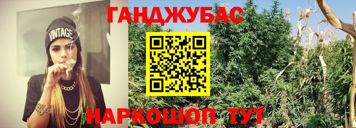 Каннабис White Widow  Шишки марихуана планчик  Бошки марихуана Bruce Banner  Вход с VPN  Черногорск 